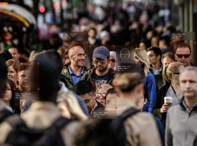 Sticky Surveillance Grid